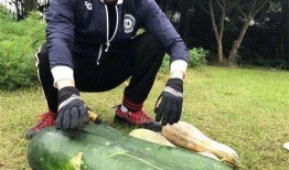 汕尾新瓜最新爆料,揭秘背后惊人真相